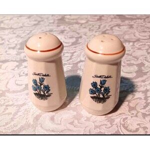 Vintage South Dakota blue flowers salt & pepper shaker set